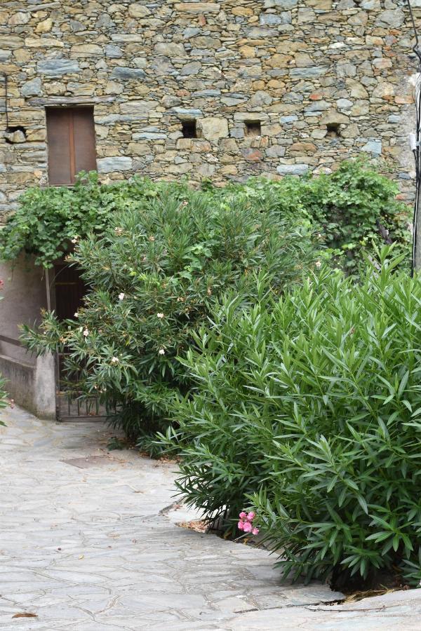Maison De Village Avec Vue Sur Les Montagnes Bigorno Exterior foto